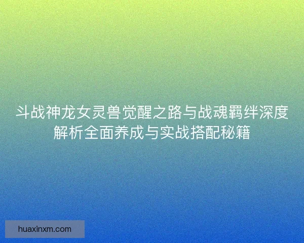 斗战神龙女灵兽觉醒之路与战魂羁绊深度解析全面养成与实战搭配秘籍