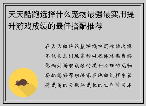 天天酷跑选择什么宠物最强最实用提升游戏成绩的最佳搭配推荐